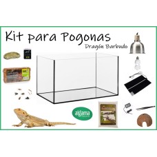 Kit para pogonas / Otros Saurios (Varios tamaños)